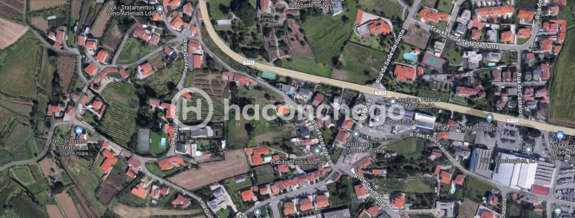 Quinta T3 para Venda em Abade de Neiva Foto 2