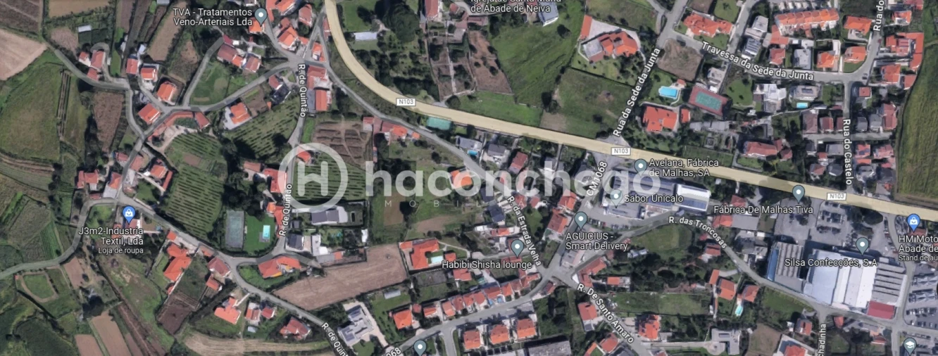 Quinta T3 para Venda em Abade de Neiva Foto 2