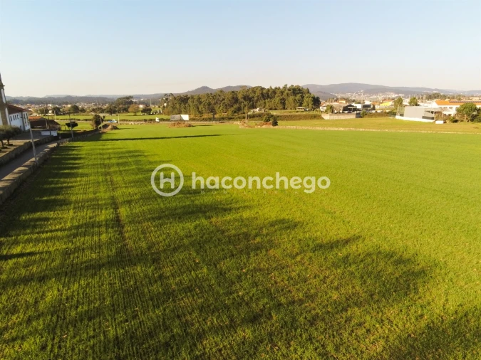 Terreno para Venda em Alvelos Foto 14