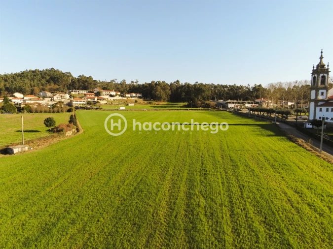 Terreno para Venda em Alvelos Foto 6