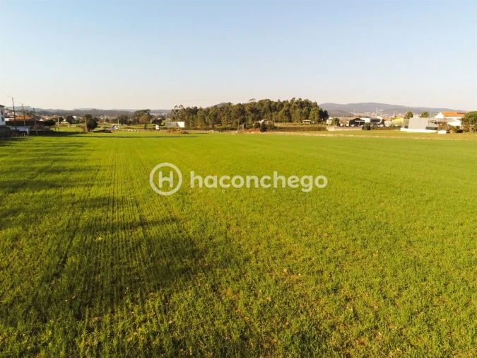 Terreno para Venda em Alvelos Foto 18