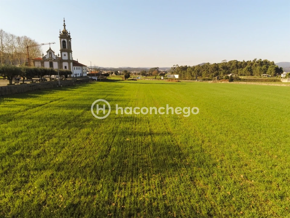 Terreno para Venda em Alvelos Foto 8
