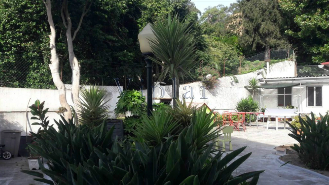 Prédio para Venda em Campanhã Foto 8