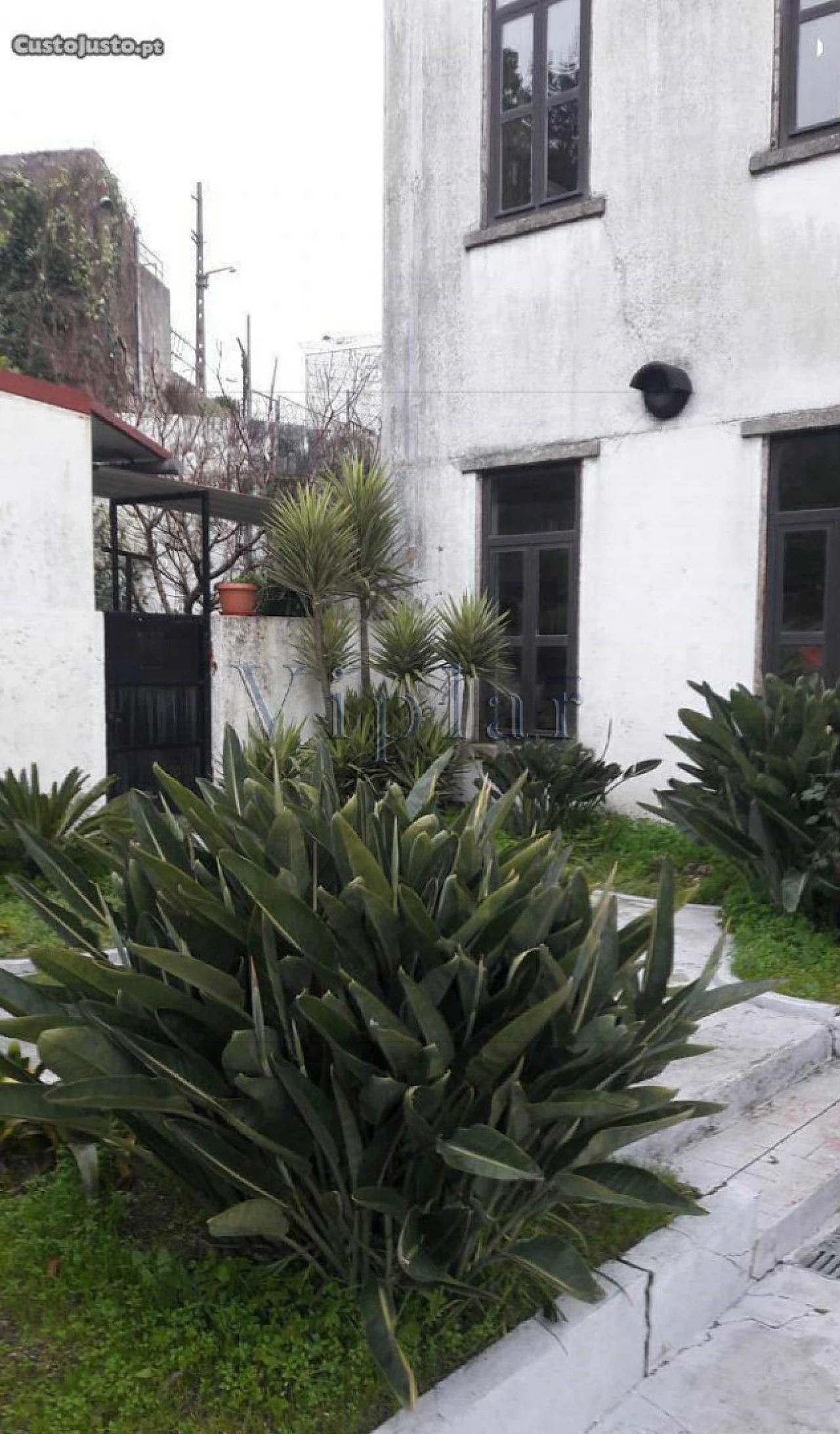 Prédio para Venda em Campanhã Foto 5