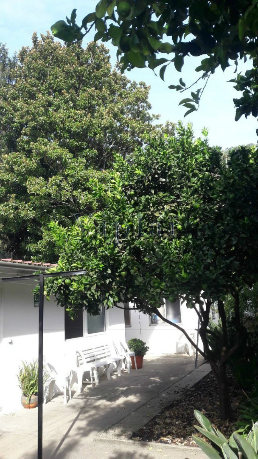 Prédio para Venda em Campanhã Foto 6
