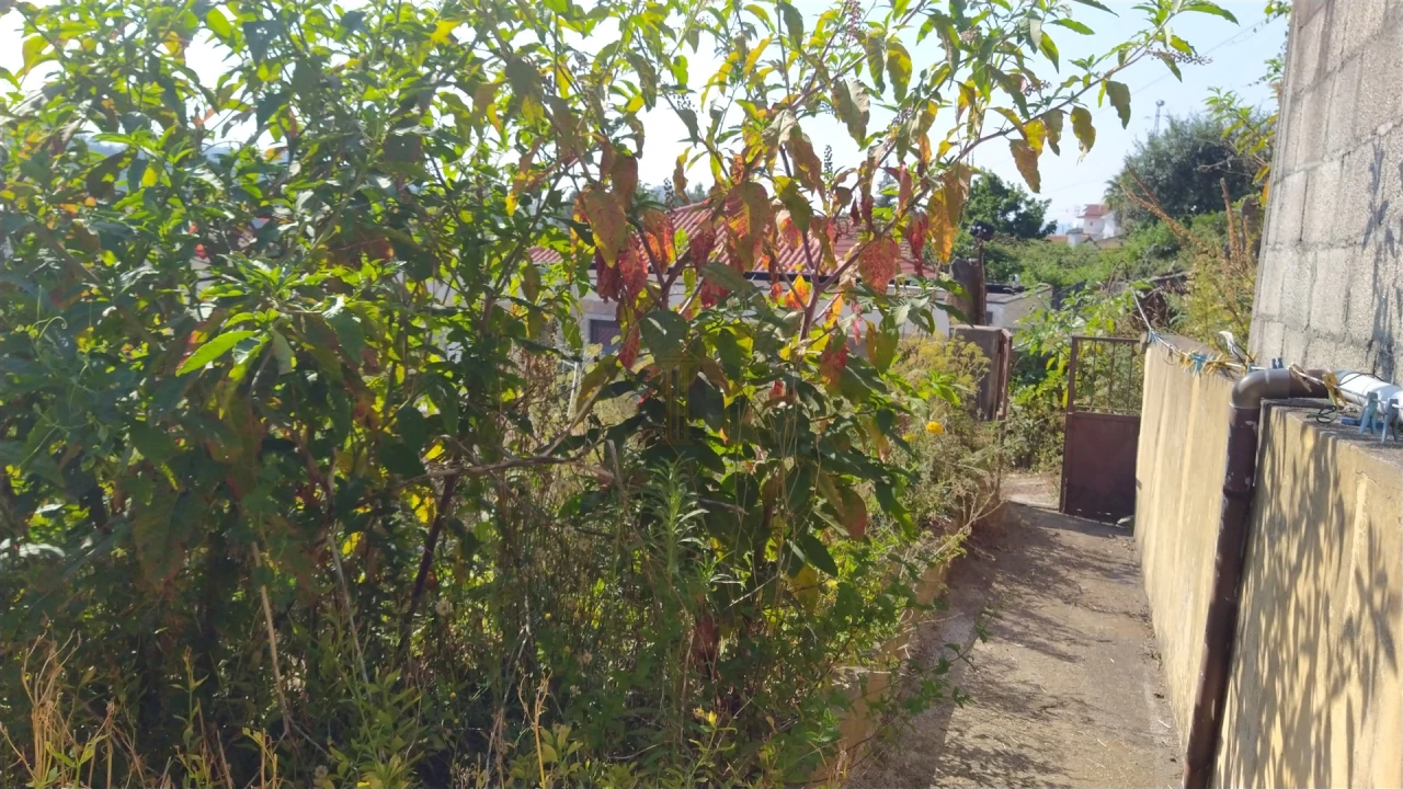 Moradia T2 para Venda em Fafe Foto 15