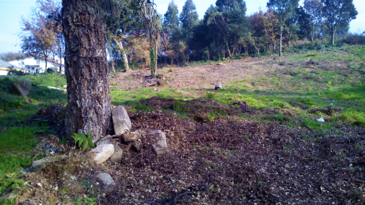 Terreno para Venda em Pedrouços Foto 3