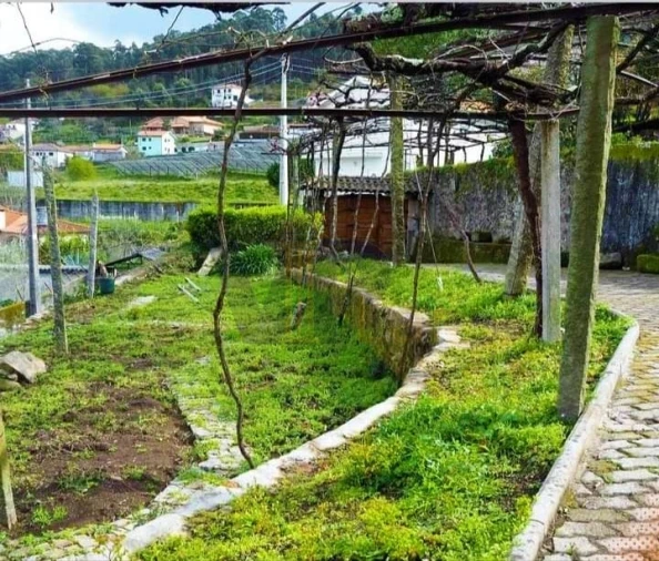 Quinta T5 para Venda em Roriz Foto 1