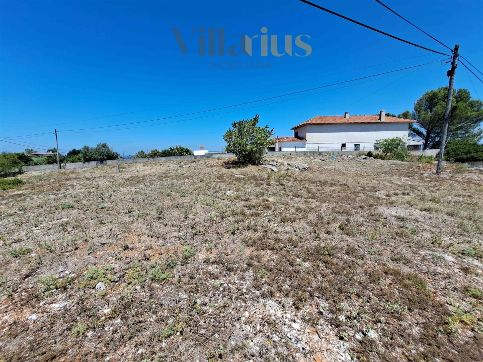 Terreno para Venda em São João Baptista e Santa Maria dos Olivais Foto 5