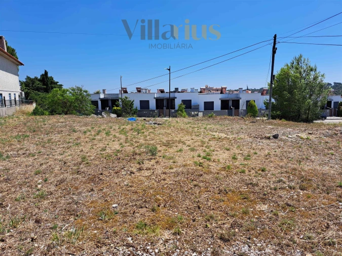 Terreno para Venda em São João Baptista e Santa Maria dos Olivais Foto 6