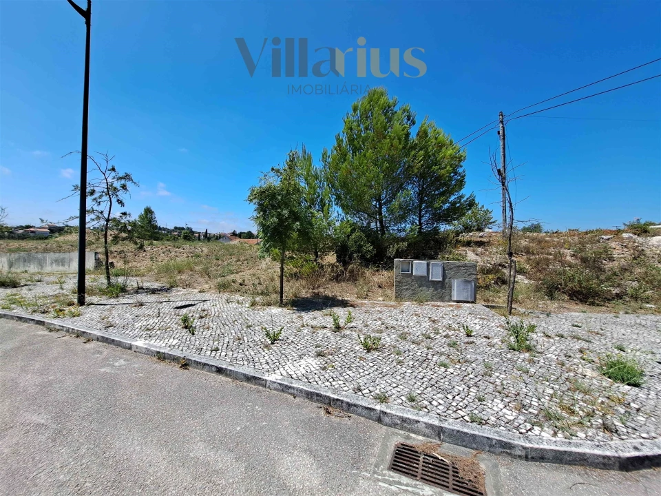 Terreno para Venda em São João Baptista e Santa Maria dos Olivais Foto 2