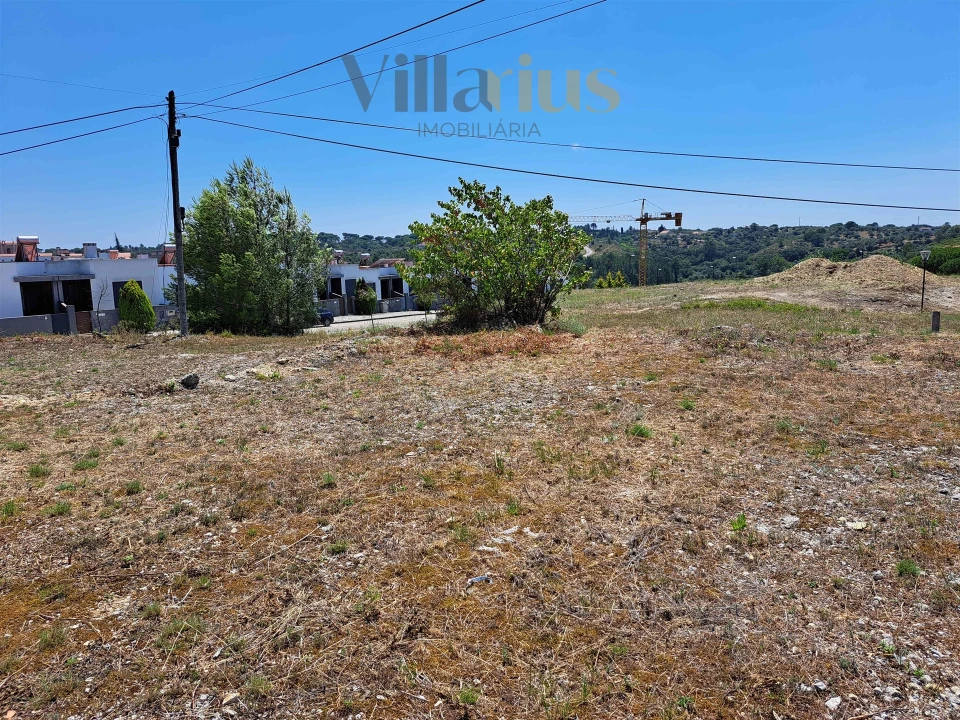 Terreno para Venda em São João Baptista e Santa Maria dos Olivais Foto 7