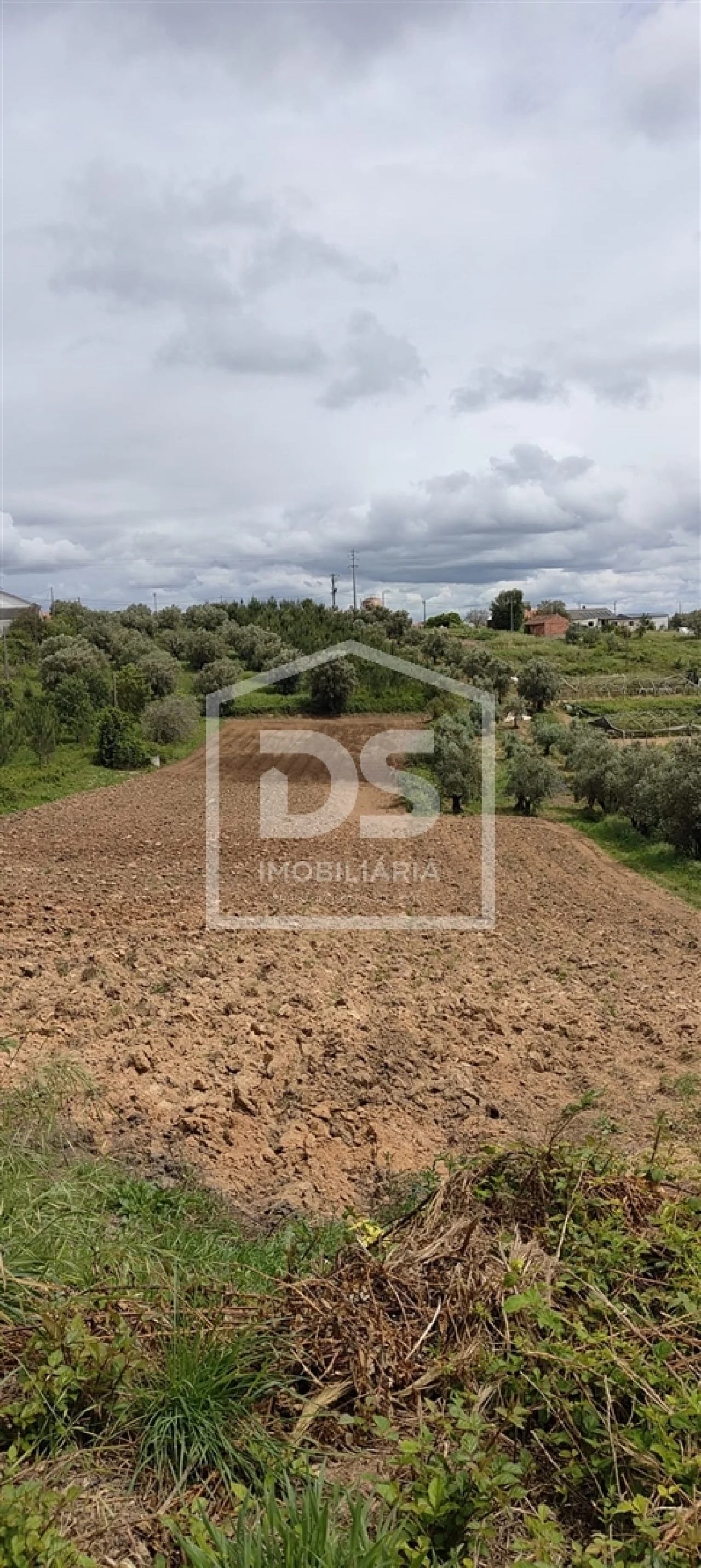 Terreno Agricola ou Rústico para Venda em Parceiros e Azoia Foto 14