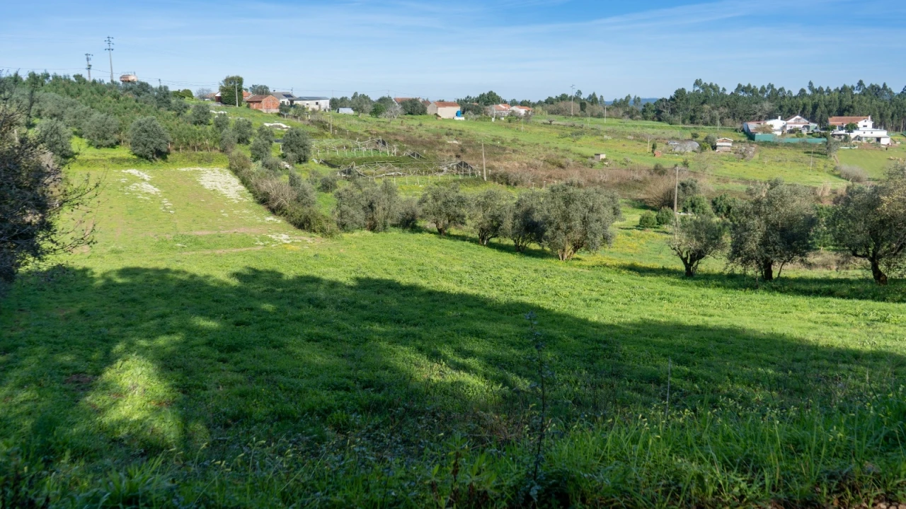 Terreno Agricola ou Rústico para Venda em Parceiros e Azoia Foto 8