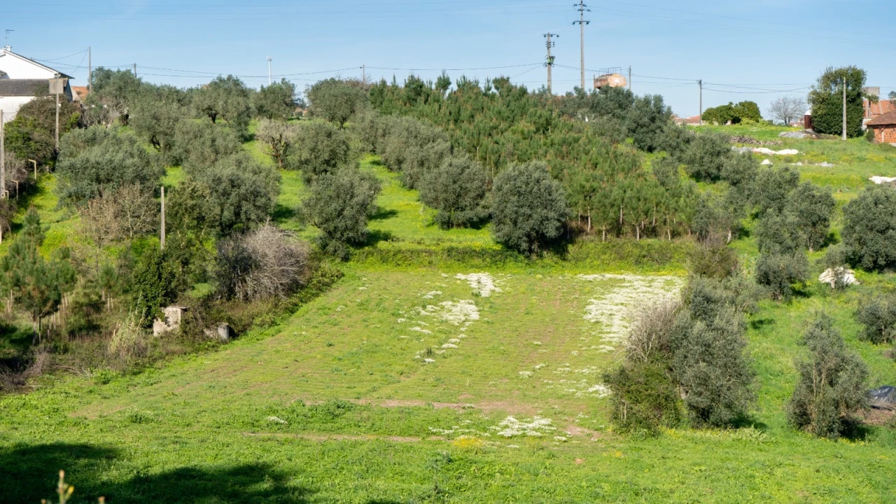 Terreno Agricola ou Rústico para Venda em Parceiros e Azoia Foto 11