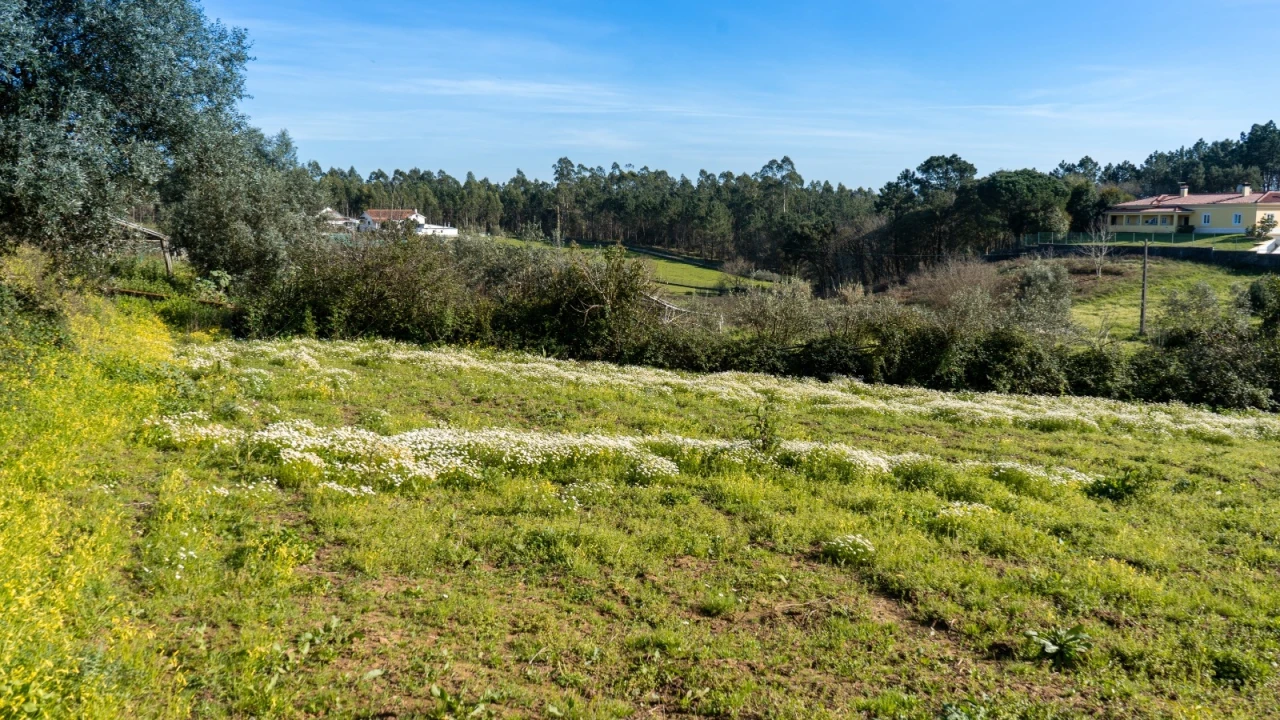 Terreno Agricola ou Rústico para Venda em Parceiros e Azoia Foto 4