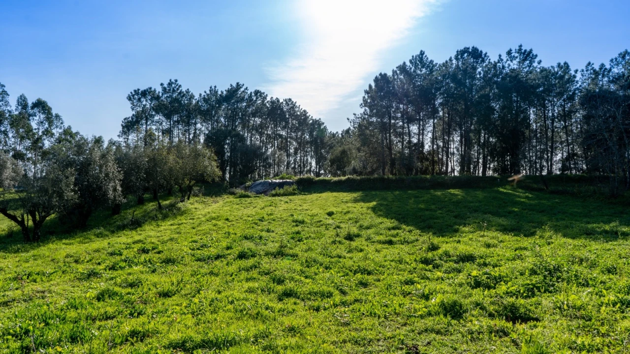 Terreno Agricola ou Rústico para Venda em Parceiros e Azoia Foto 6