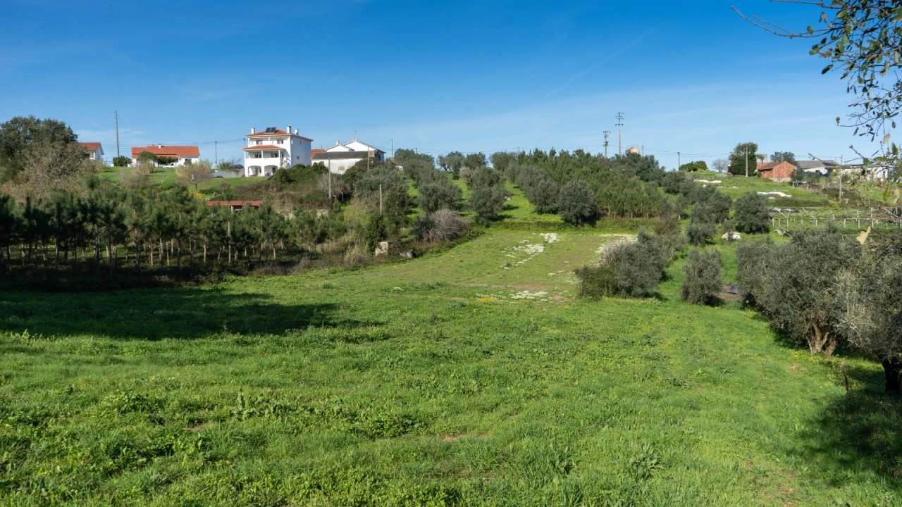 Terreno Agricola ou Rústico para Venda em Parceiros e Azoia Foto 7