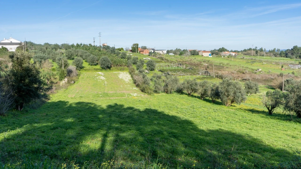 Terreno Agricola ou Rústico para Venda em Parceiros e Azoia Foto 10