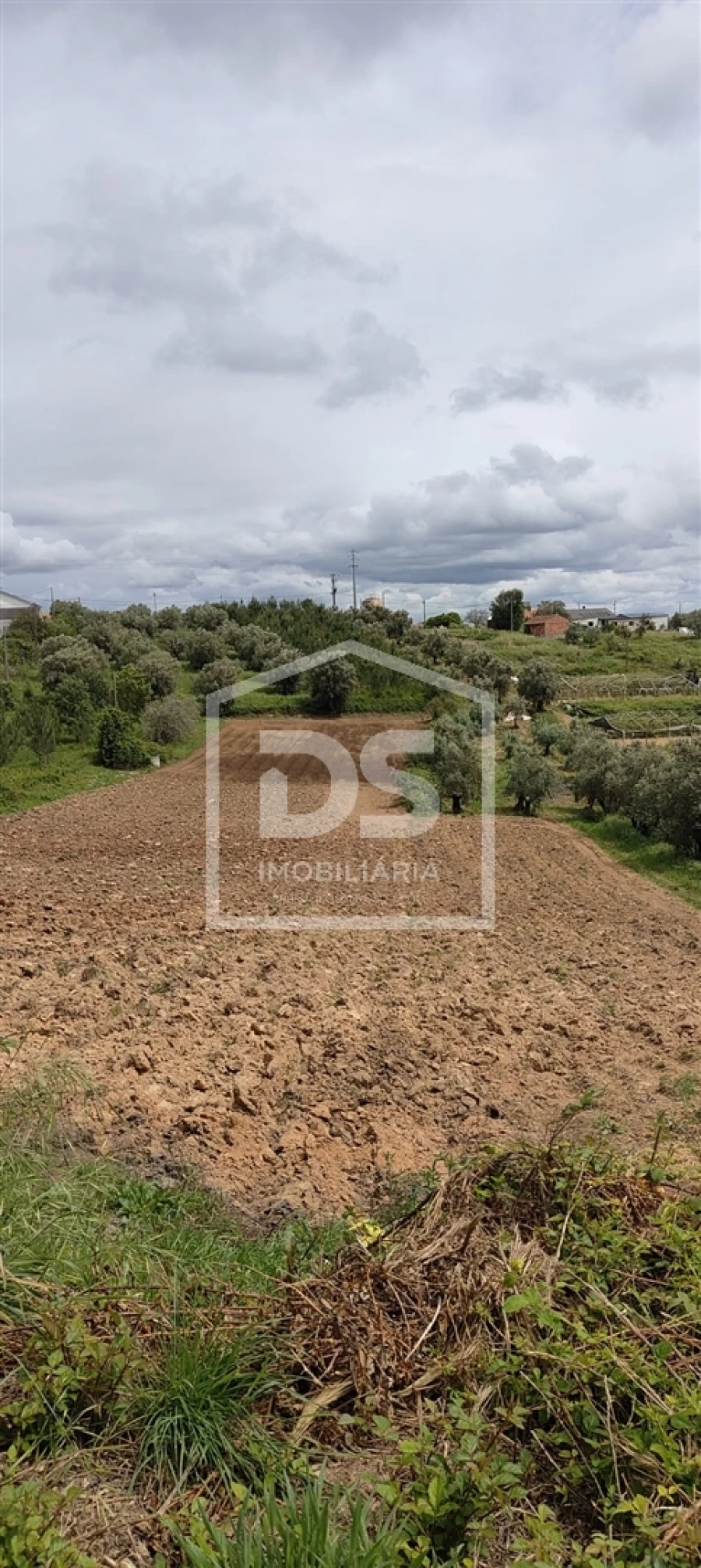 Terreno Agricola ou Rústico para Venda em Parceiros e Azoia Foto 14