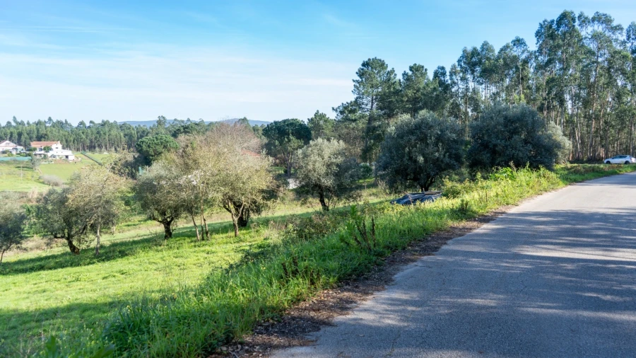 Terreno Agricola ou Rústico para Venda em Parceiros e Azoia Foto 9