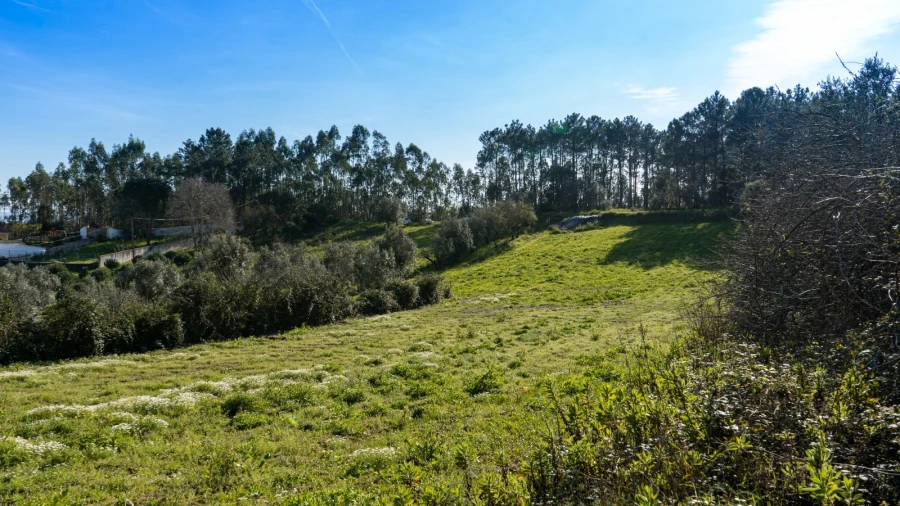 Terreno Agricola ou Rústico para Venda em Parceiros e Azoia Foto 1