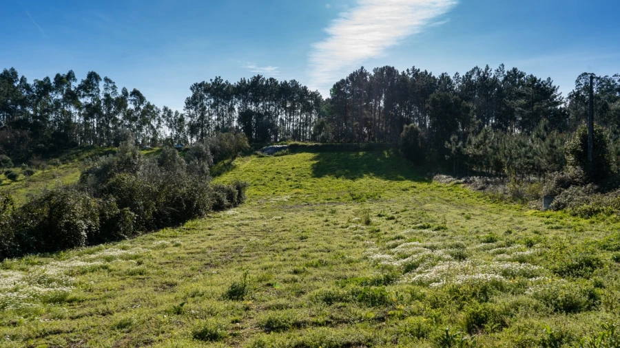 Terreno Agricola ou Rústico para Venda em Parceiros e Azoia Foto 5