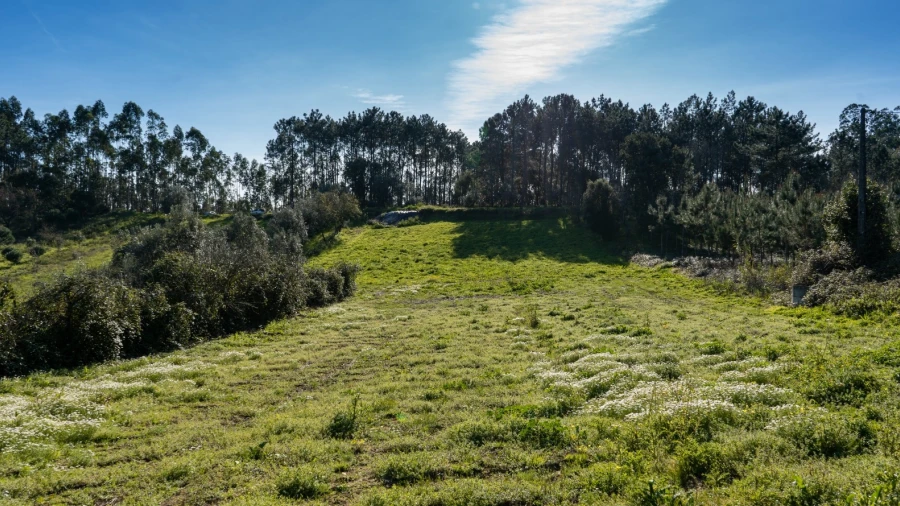 Terreno Agricola ou Rústico para Venda em Parceiros e Azoia