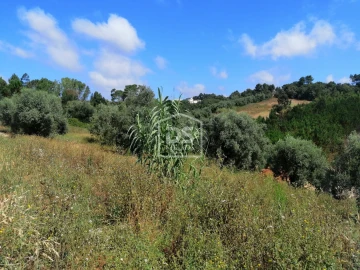 Terreno para Venda em Santa Eufémia e Boa Vista