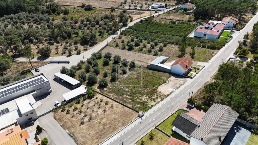 Terreno para Venda em Maceira Foto 6