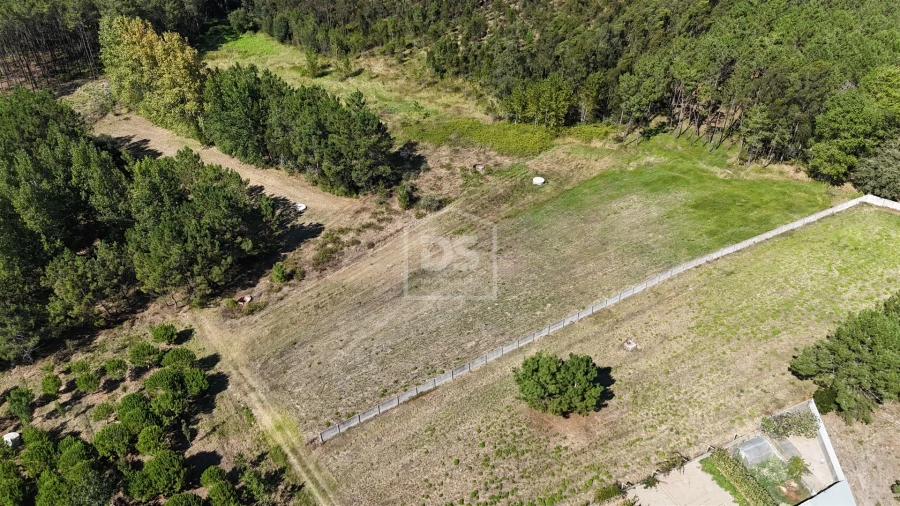 Terreno Agricola ou Rústico para Venda em Maceira Foto 2