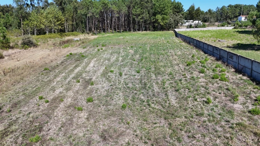 Terreno Agricola ou Rústico para Venda em Maceira Foto 10