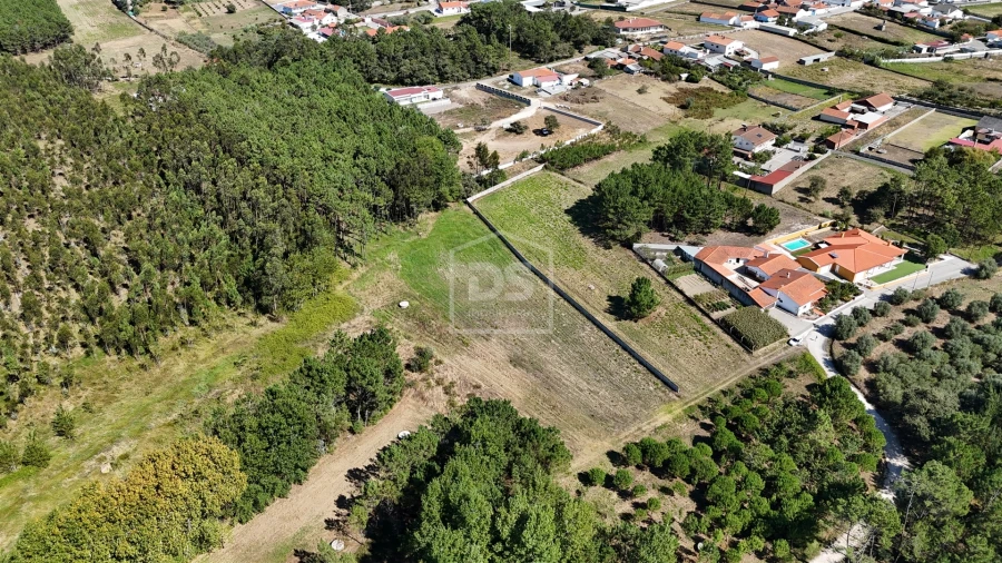 Terreno Agricola ou Rústico para Venda em Maceira Foto 4