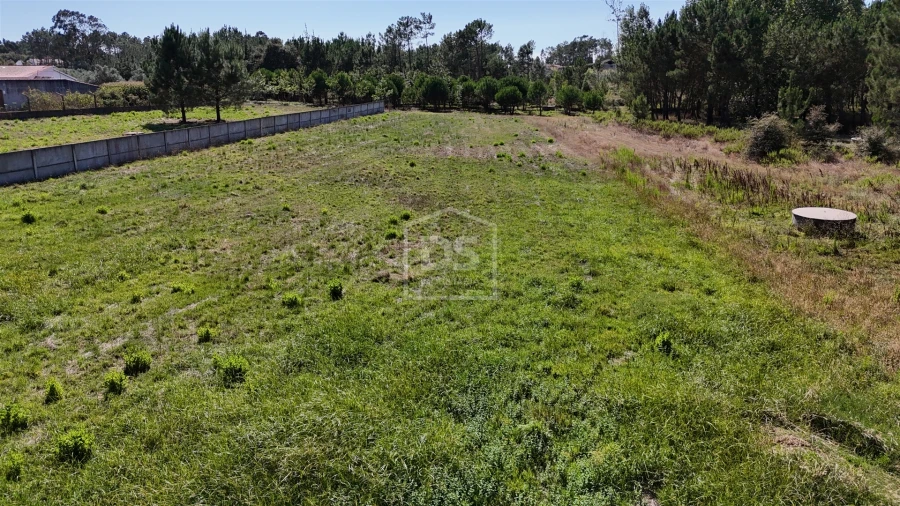 Terreno Agricola ou Rústico para Venda em Maceira Foto 9