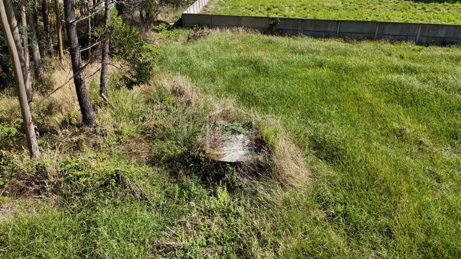 Terreno Agricola ou Rústico para Venda em Maceira Foto 8