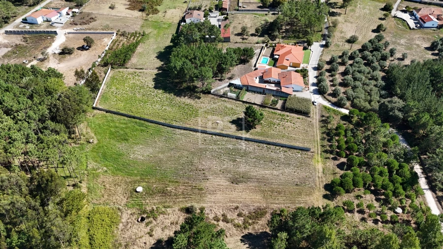Terreno Agricola ou Rústico para Venda em Maceira Foto 6