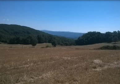 Terreno para Venda em Vilar de Ossos