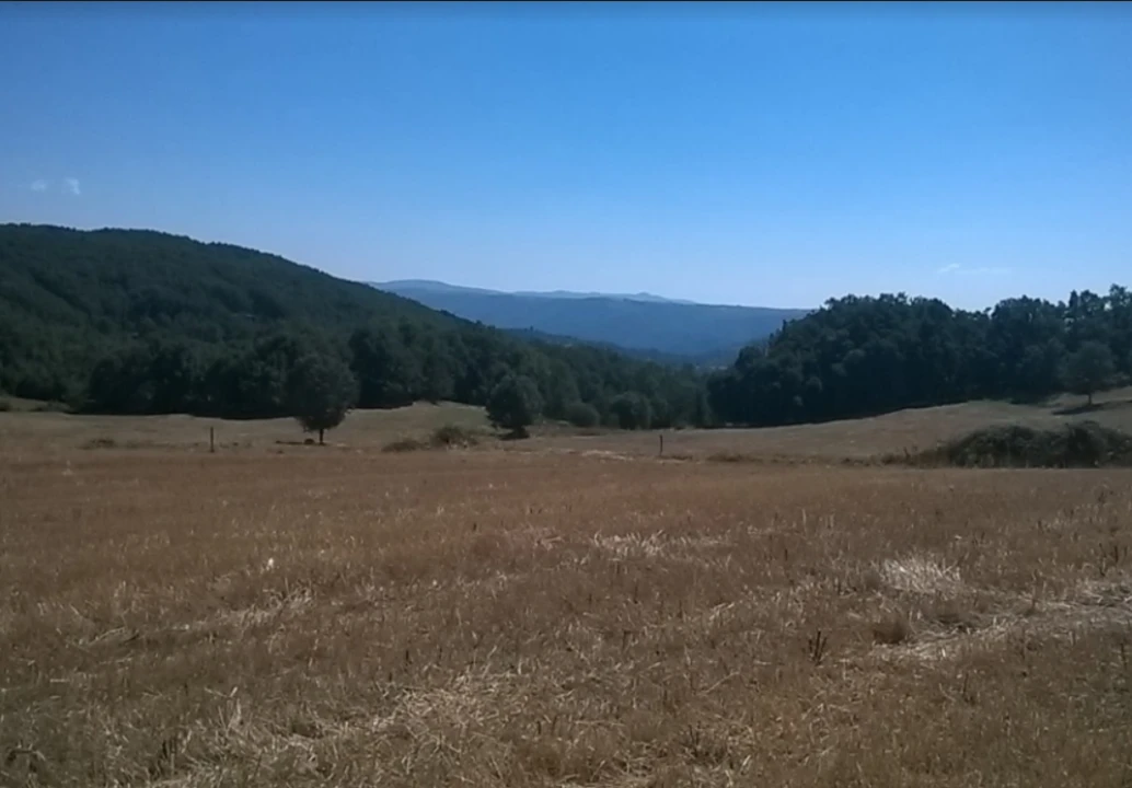 Terreno para Venda em Vilar de Ossos Foto 1
