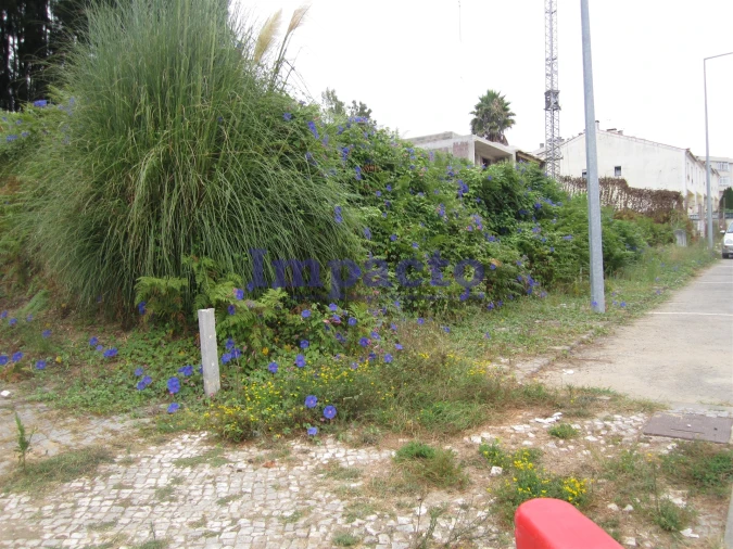 Terreno para Venda em Vila de Cucujães Foto 2
