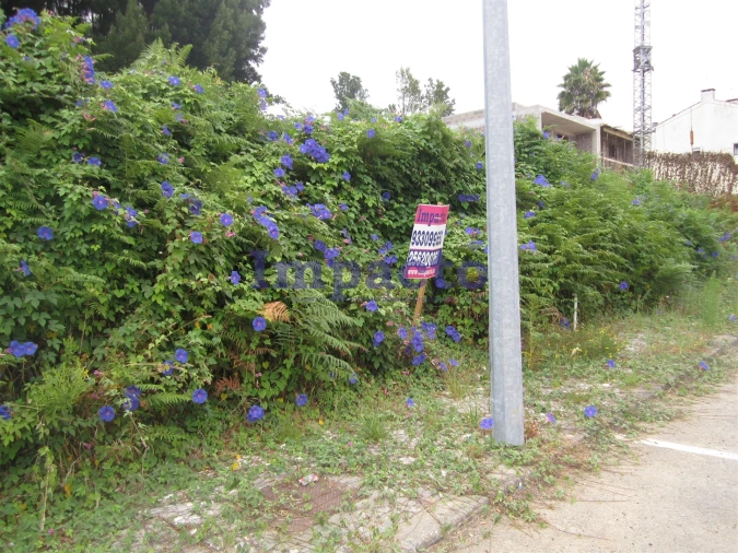 Terreno para Venda em Vila de Cucujães Foto 5