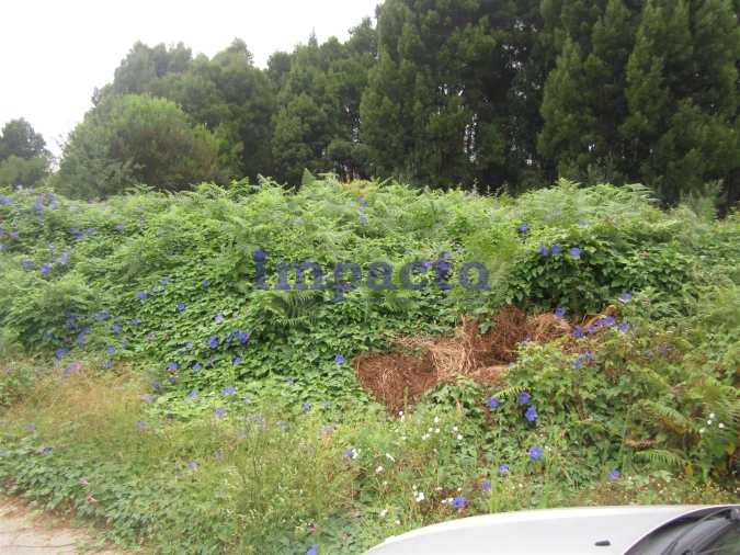 Terreno para Venda em Vila de Cucujães Foto 6