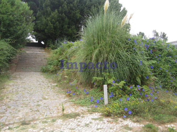 Terreno para Venda em Vila de Cucujães Foto 7