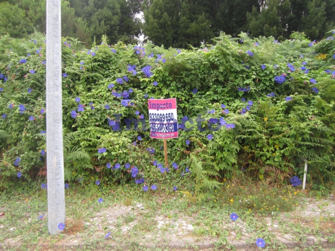 Terreno para Venda em Vila de Cucujães Foto 3