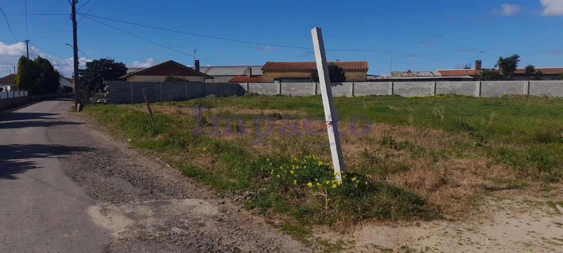 Terreno para Venda em Valega Foto 10