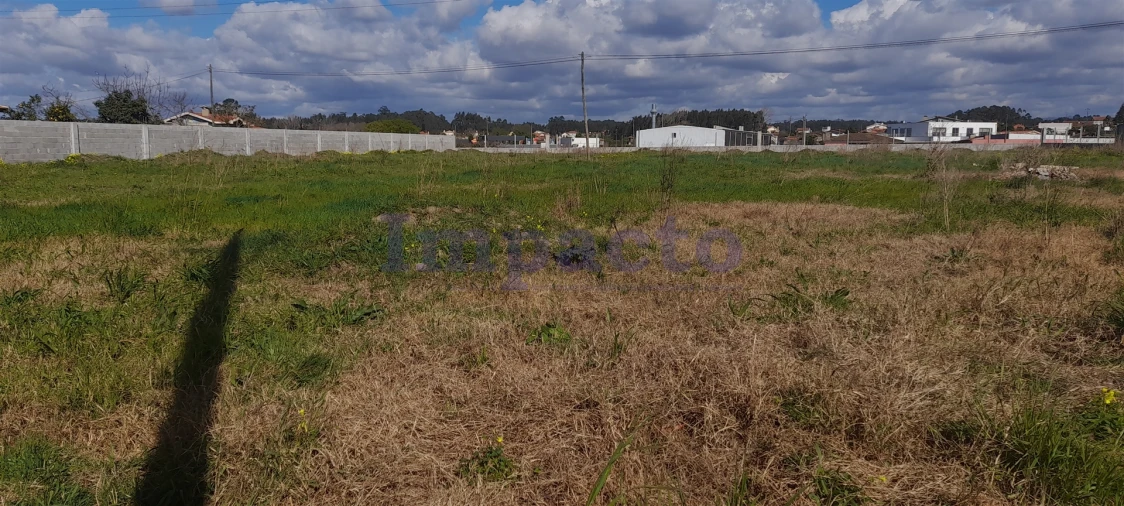 Terreno para Venda em Valega Foto 8