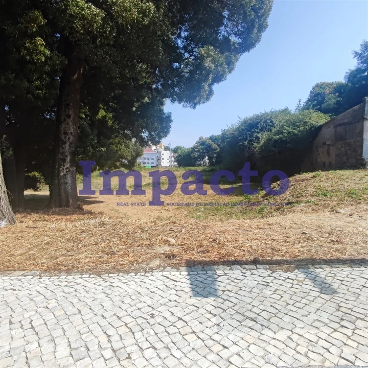 Terreno para Venda em São João da Madeira Foto 5