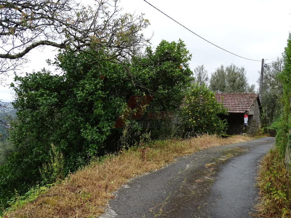 Moradia T2 para Venda em Ribas Foto 16