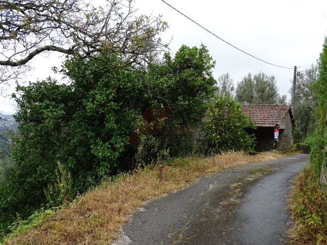 Moradia T2 para Venda em Ribas Foto 16