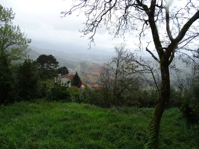 Moradia T2 para Venda em Ribas Foto 9