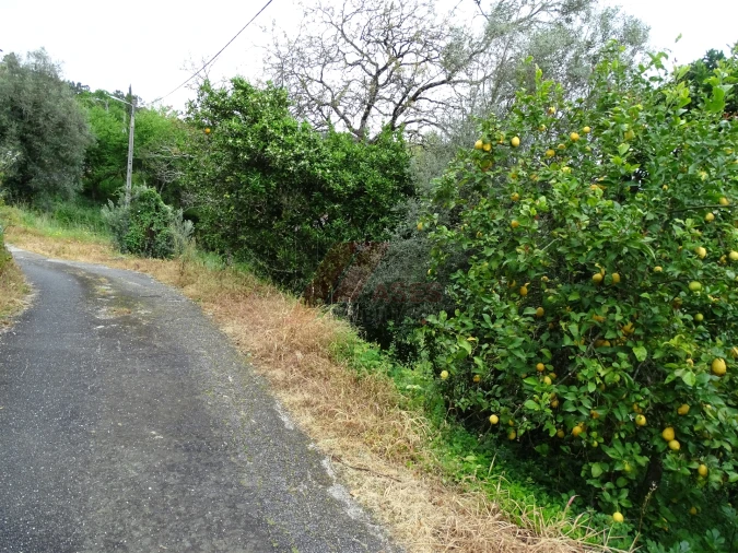 Moradia T2 para Venda em Ribas Foto 5